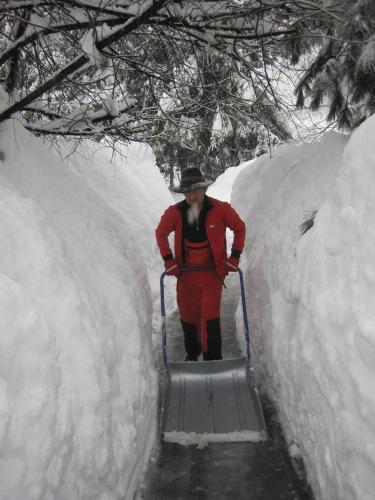 Haus der Sonne - image 11