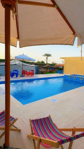 Swimming pool, Tunis Camp in Faiyum