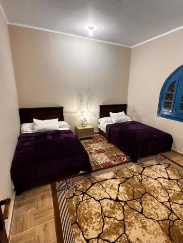 Tunis Camp in Faiyum