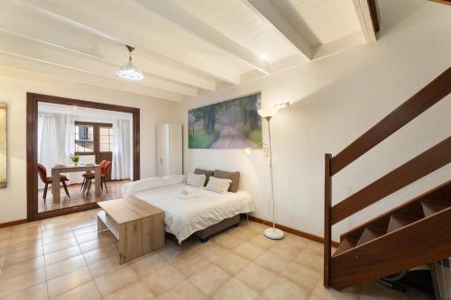 Casa del Jable in Parque Holandes
