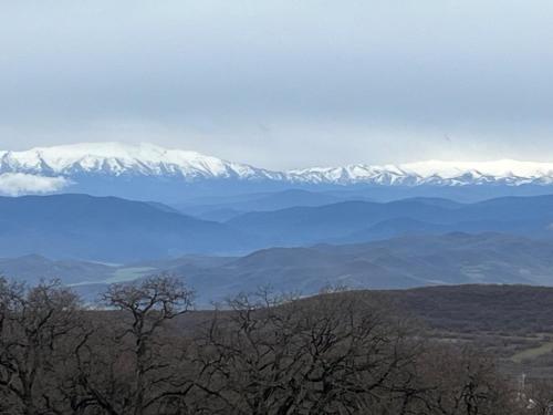 Enjoy Georgian Regions in 泰特里茨卡羅