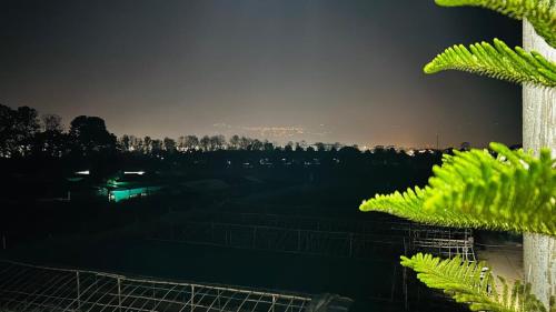 Dixon Homestay - image 4