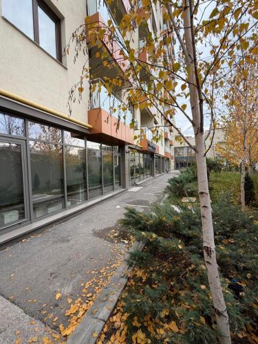 外部景觀, DownTown Stay Lazar by Glam Apartments - Parking Option in 雅西