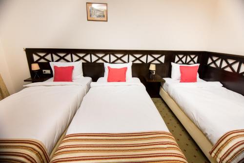 Hotel Gradina Morii - image 13