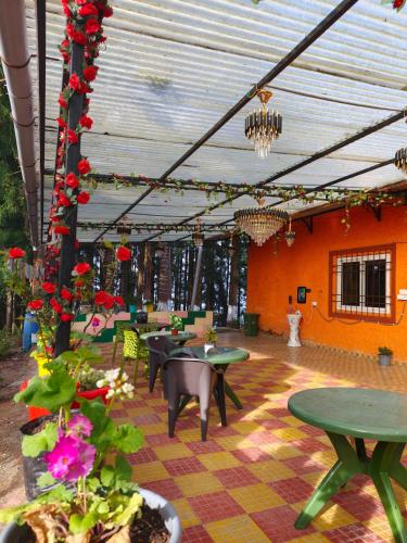 Whispering Pines Farmstay in Lava