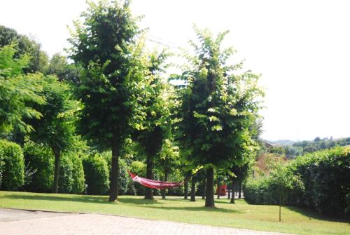I Tigli in Pino Torinese
