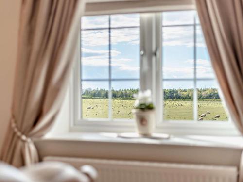 المرافق, 2 Bed in Maryport oc-94787 in Maryport
