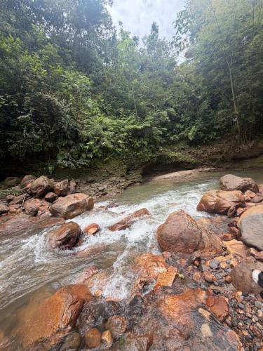 Cabana tipo glamping con jacuzzi y malla catamaran en finca la fortuna in Palicare