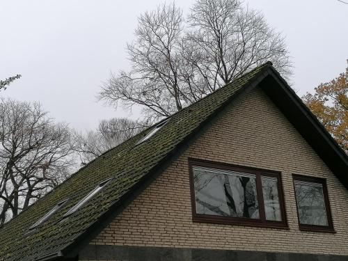 Maisonette Alstertal in Bramfeld