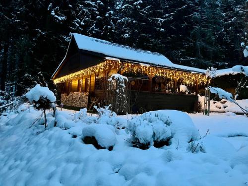 Cabin Near Krkonoše National Park (Cabin Near Krkonose National Park) in Pecka