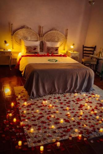 Guesthouse Arieira Escapadinha Exclusiva na Natureza chambre d'hôte Tojeira