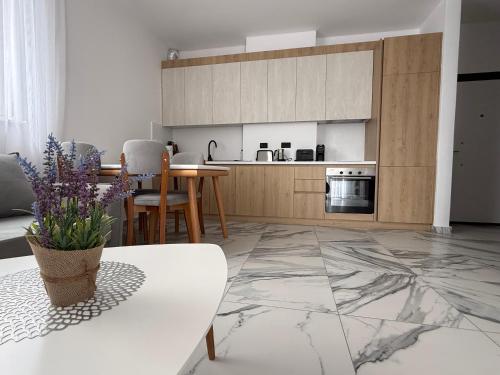 virtuve, Apartman Laguna View in Sakes