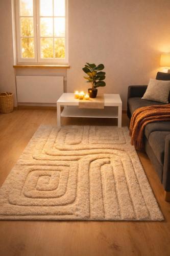 T2 cosy haut de gamme avec suite hyper centre