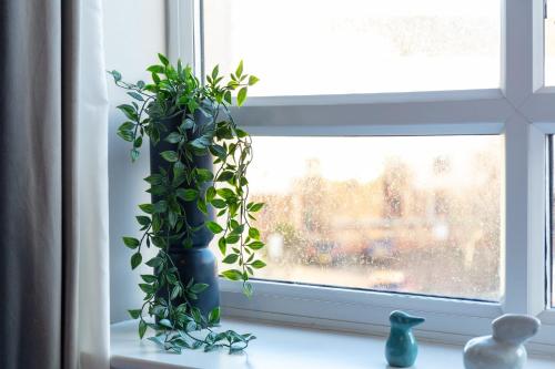 Bay View - Donnini Apartments - image 11