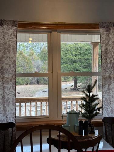 Hahns Mill House at Amidon on Castor River in Frederiktauna (MO)