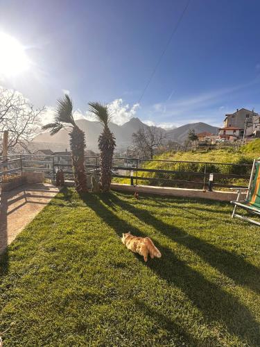 Vrt, Castellano Holiday house in San Lazzaro