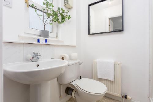 Millbrae Residence - Donnini Apartments - image 9