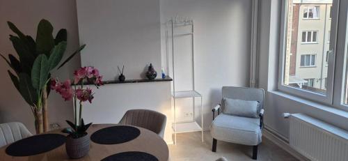 Cosy flat in Merksem