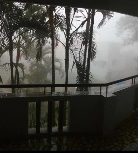 Monsoon Blooms in Yercaud