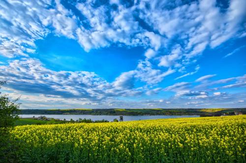 Ferienwohnung Seese Wansleben am See in Seegebiet Mansfelder Land