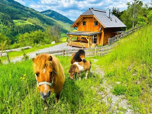 Lärchenhaus ,,Unterer Brodl" in Kammersberg, Österreich