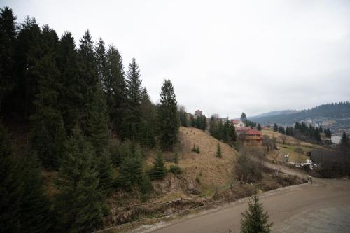 Loft & SPA resort ROOMs in Poljanytsia