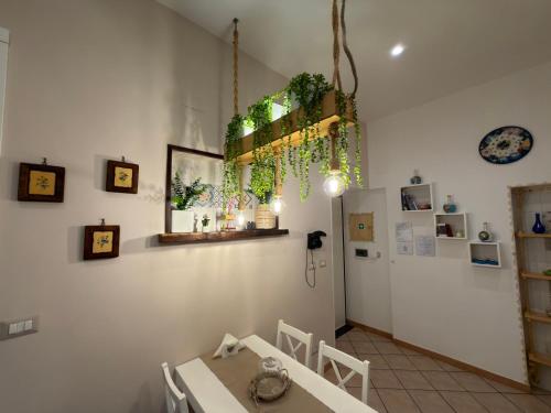 Sweet Home QuiSiSana