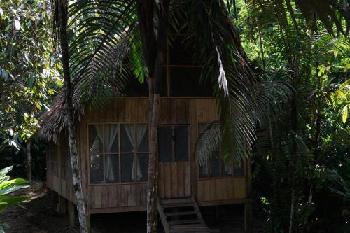 Viesnīcas āriene, CHUNAKI ECOLODGES - Authentic Activities and Food in the Amazon in Letīcija