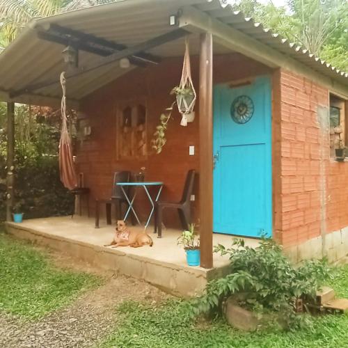 Cabañas Un lugar Mágico en Cisneros Antioquia
