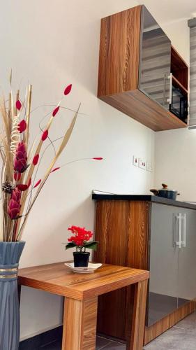 Mayama Residences in Madina