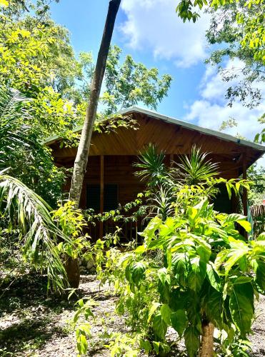 Real Jamaica - 5 Cabins right beside the sea in Oracabessa