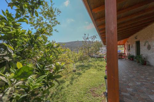 Apartments Dida - image 5