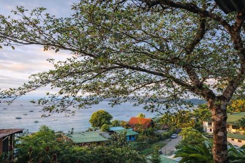 Casa Jade in Drake Bay