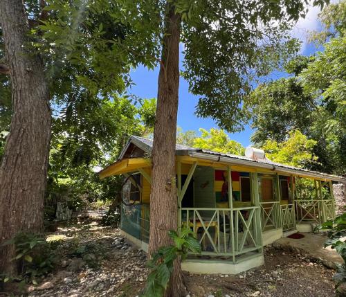 Real Jamaica - 5 Cabins right beside the sea in Oracabessa