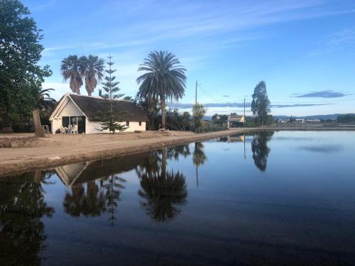 La Barraca de Macu - Delta Traditional Lodge in Els Muntells