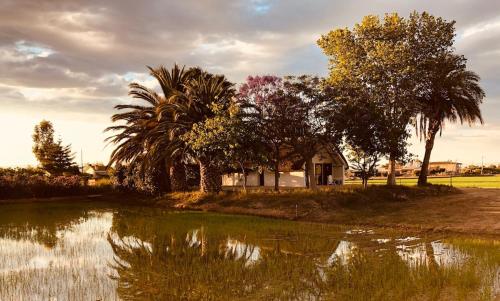 La Barraca de Macu - Delta Traditional Lodge in Els Muntells