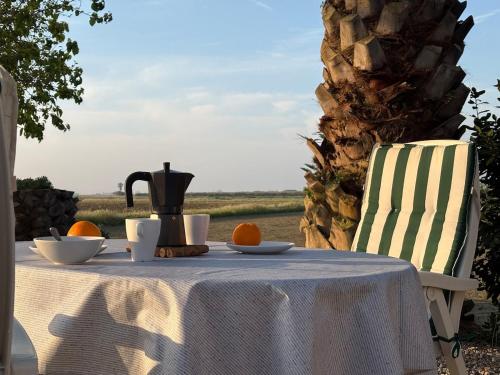 La Barraca de Macu - Delta Traditional Lodge in Els Muntells