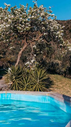 Agriturismo Missanega 5