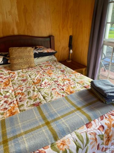 Waitomo Farmstay - Kiwi Cabin 5 in Hangatiki