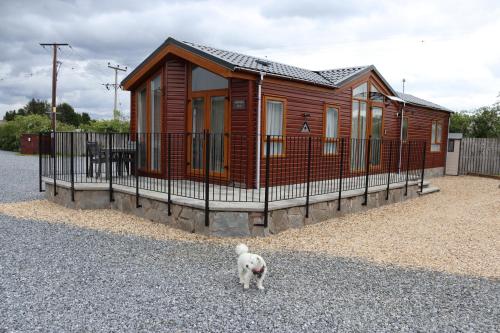 Зовнішній вигляд готелю, Sunnyside Lodge in Dunning