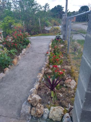 Carol Resident in Freemans Village