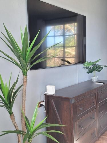 Vista exterior, Pos grandi luxury stay in Sabana Basora