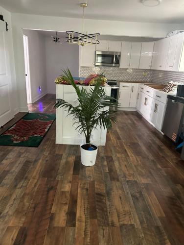 House 12 Mins to DWTN & MER BENZ STD in Collier Heights