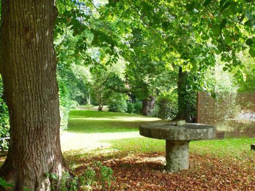 Gite-Holiday Home Au Moulin 1771 - image 8