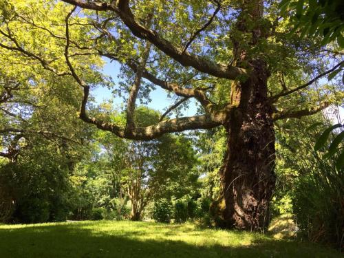 Gite-Holiday Home Au Moulin 1771 - image 9