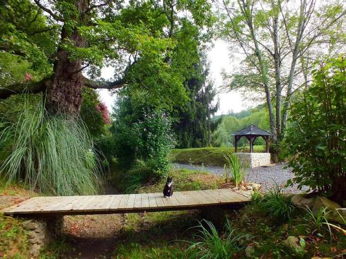 Gite-Holiday Home Au Moulin 1771 - image 10