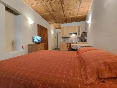 B&B Ploncher - image 34