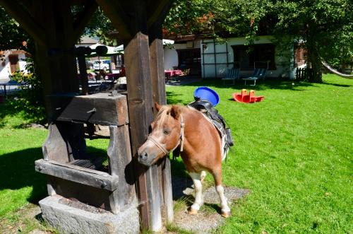 Pension Grafengut - image 10