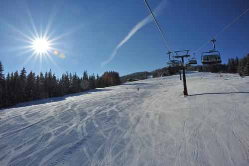 Pension Grafengut - image 7