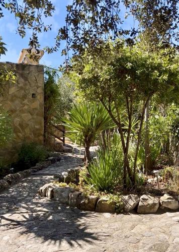 Cortijo Sol y Olivo spacious exclusive private pool retreat in Algarinejo